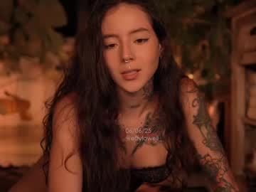 Cam for effylowell_