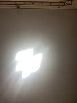 Stripchat Sex Cam for Janet_Welder