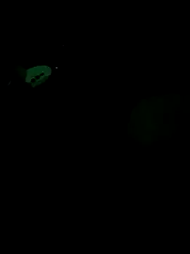 Stripchat Sex Cam for umairahaasan_1