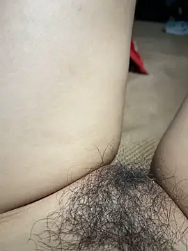 Stripchat Sex Cam for Dina_xo