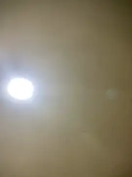 Stripchat Sex Cam for BigAssXxx1